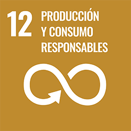 ODS 12 Producción