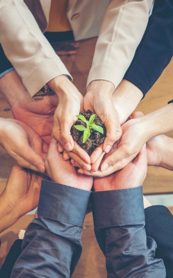 Several hands holding a small plant