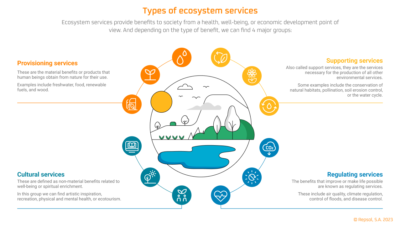 Ecosystem services infographic