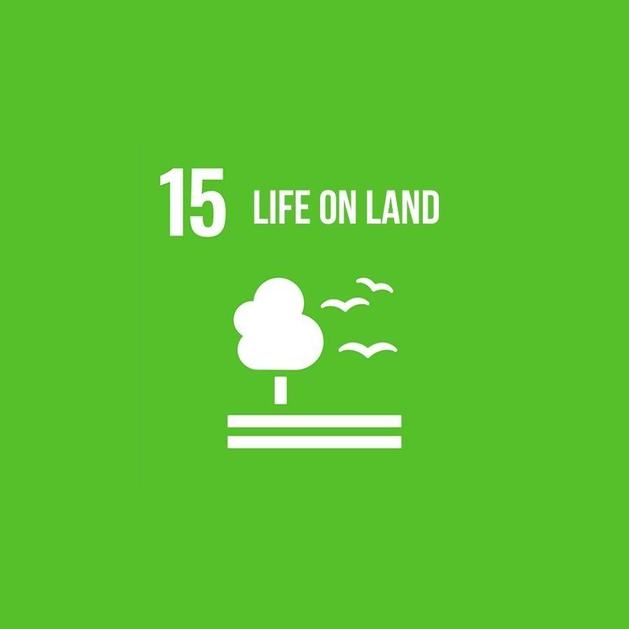 SDG 15: Life on land
