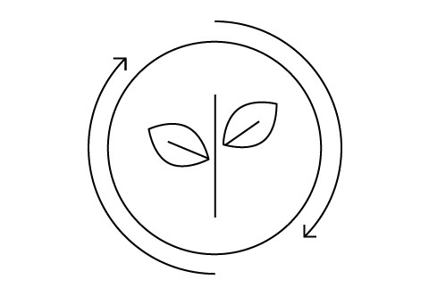 Illustration of plants