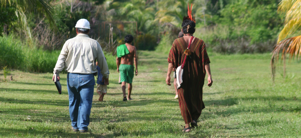 Shot of a worker and two locals walking away in a field  