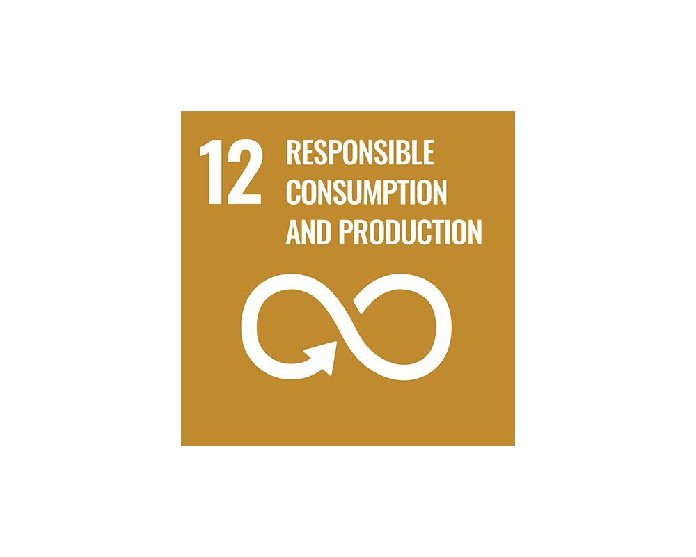 Logo SDG 12 Responsible consumption and production