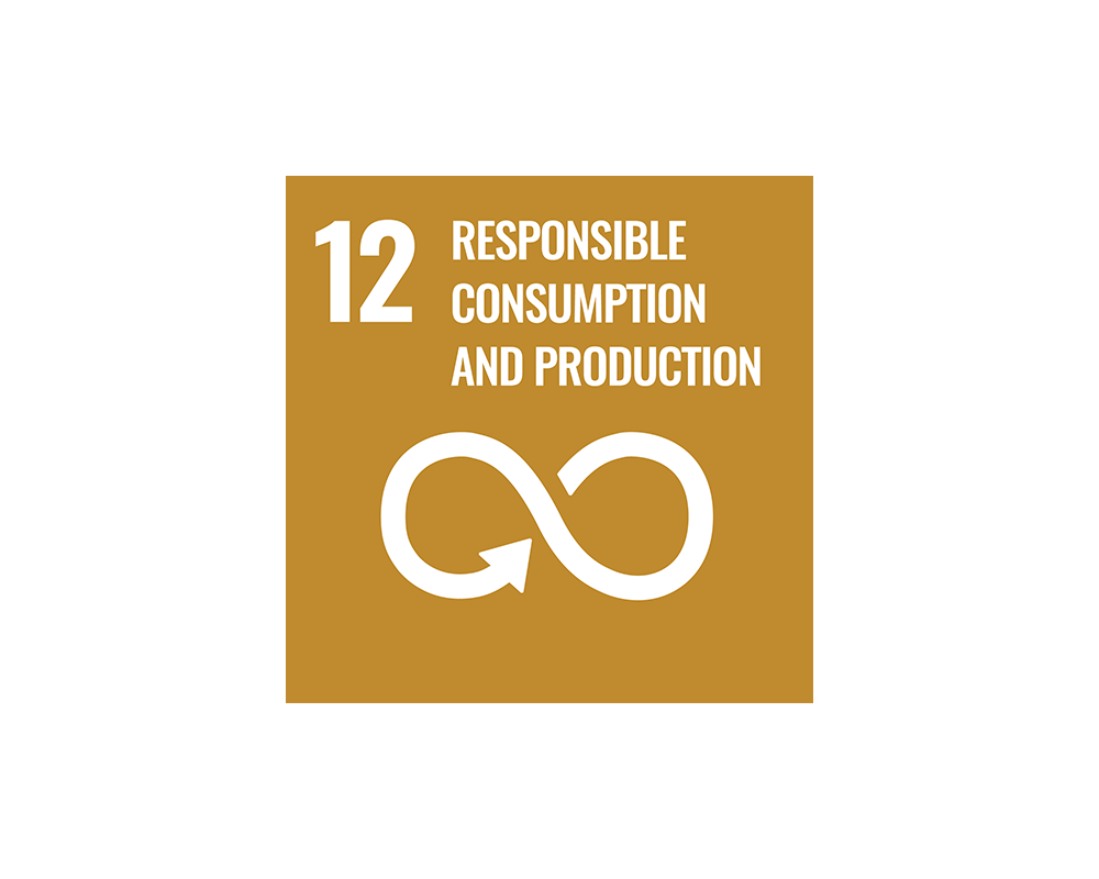 SDG 12. Responsible Consumption