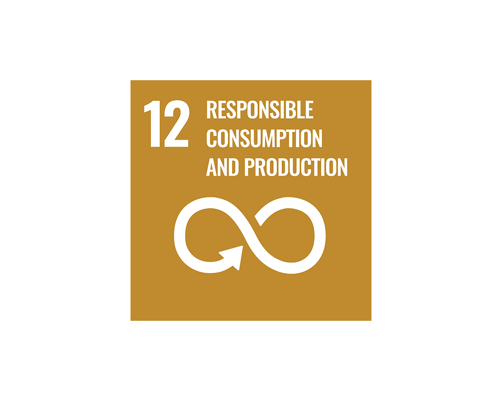 SDG 12 logo