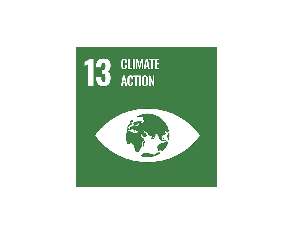 Logo SDG 13 Climate action