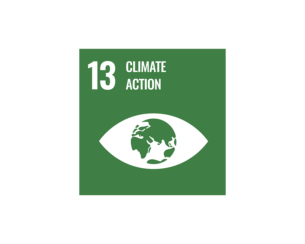 SDG 13 logo