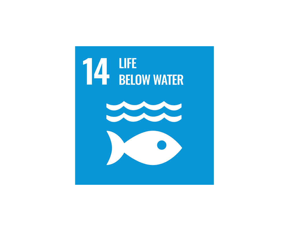 SDG 14 Logo