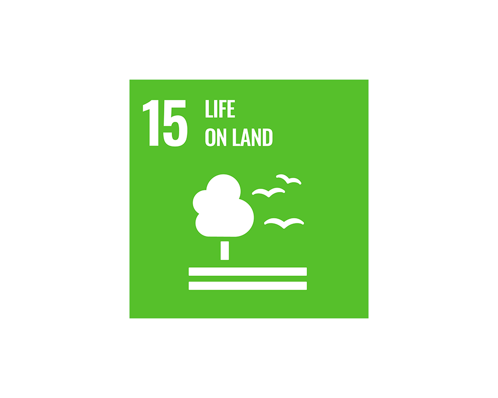 Logo 15 SDG