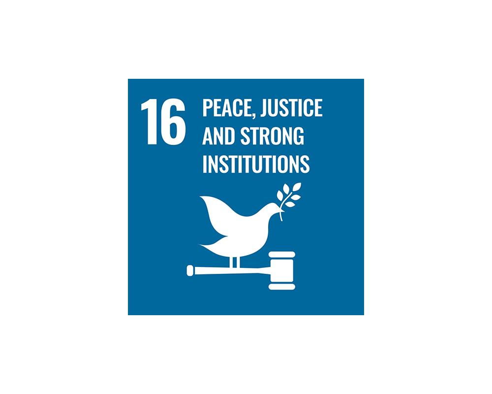 SDG 16 Logo