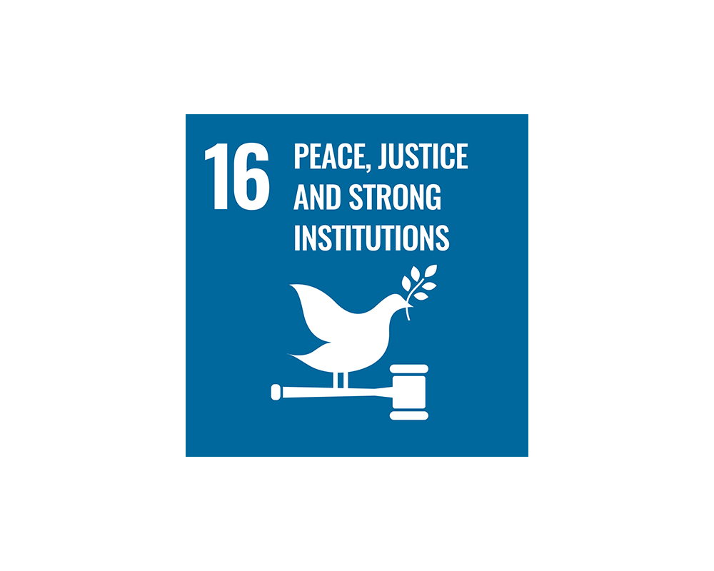 SDG 16