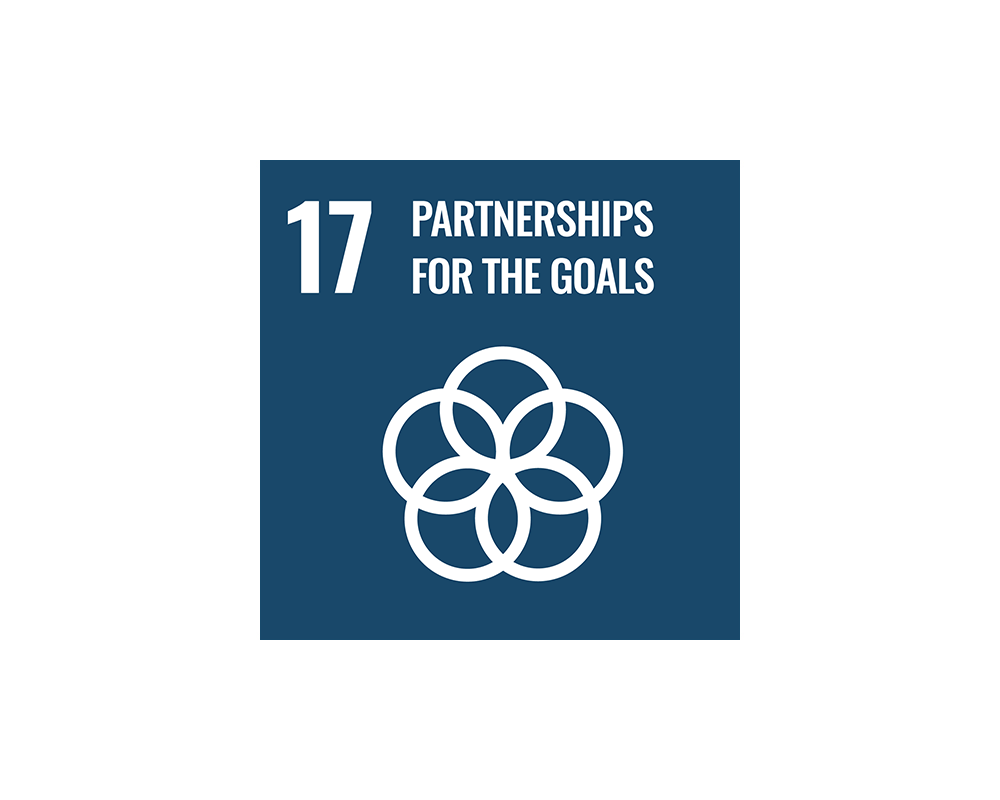 Logo SDG Partnerships for the goals
