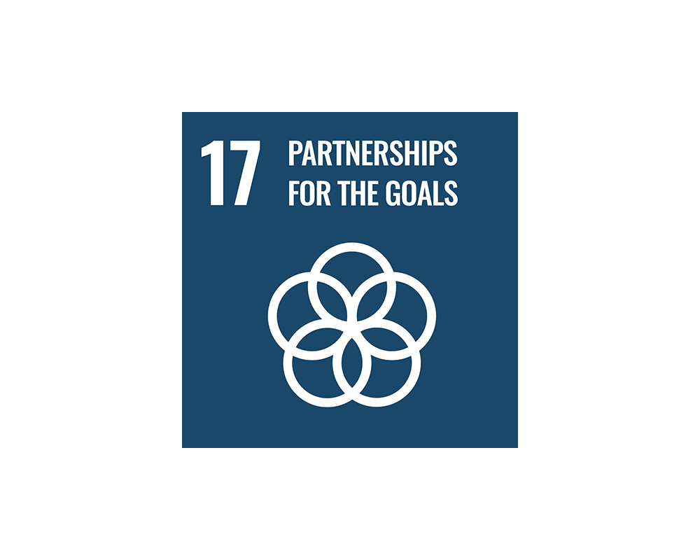 SDG 17 Logo