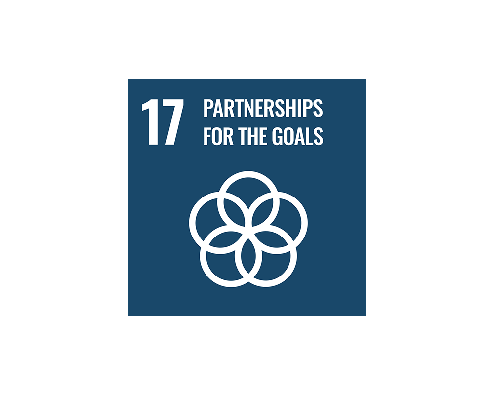 SDG 17