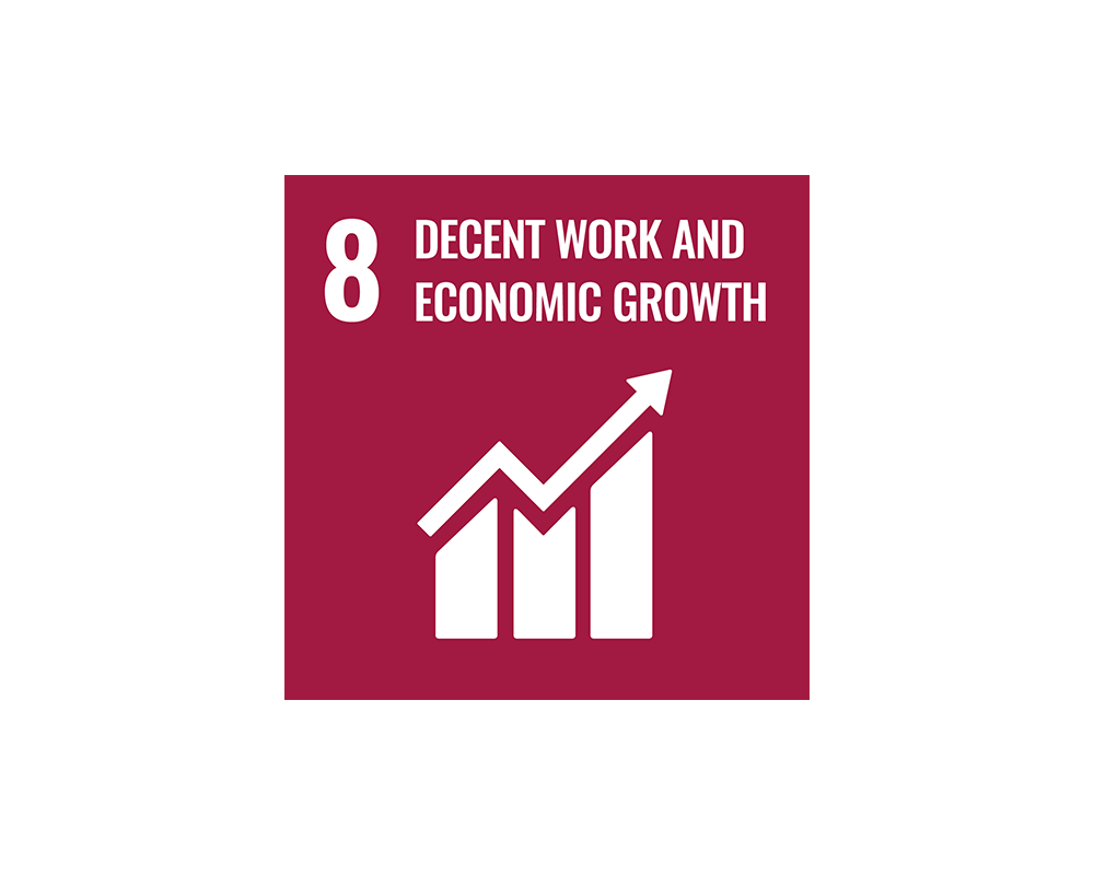 SDG 8