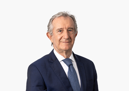 Ignacio Martín San Vicente