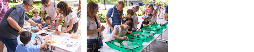 Galería de imágenes del Family Day de Repsol, una jornada familiar con talleres, actividades sobre biodiversidad y momentos de convivencia en Campus Repsol.