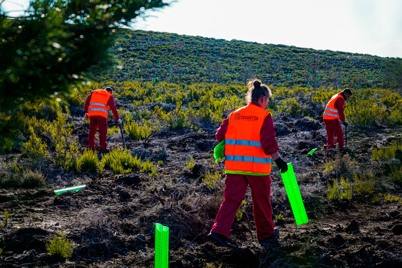 Unos trabajadores en el campo poniendo unas señalizaciones en la tierra