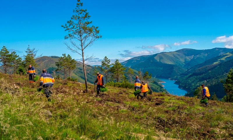 cinco personas trabajando en el monte junto a un árbol