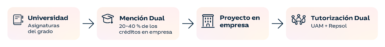Título Formación Dual Universitaria: aprendizaje entre el aula y la empresa  Universidad Asignaturas del grado ↓ Mención Dual (20–40 % de los créditos en empresa) ↓ Proyecto en empresa ↓ Tutorización dual (UAM + Repsol)