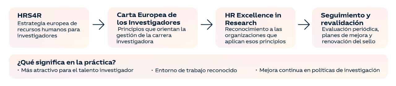 infografia mostrando datos