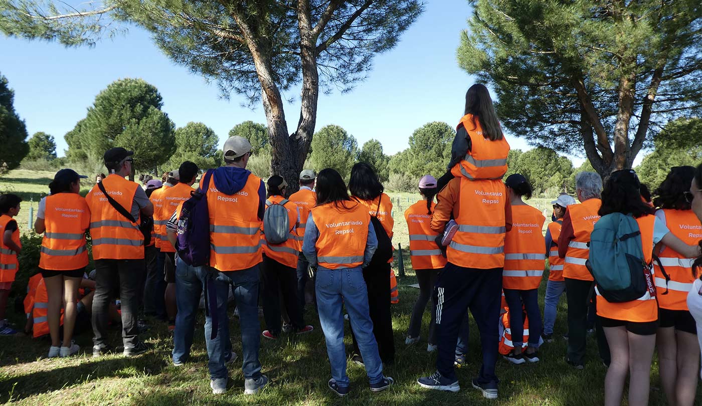 Un grupo de personas de voluntariado en Pozuelo
