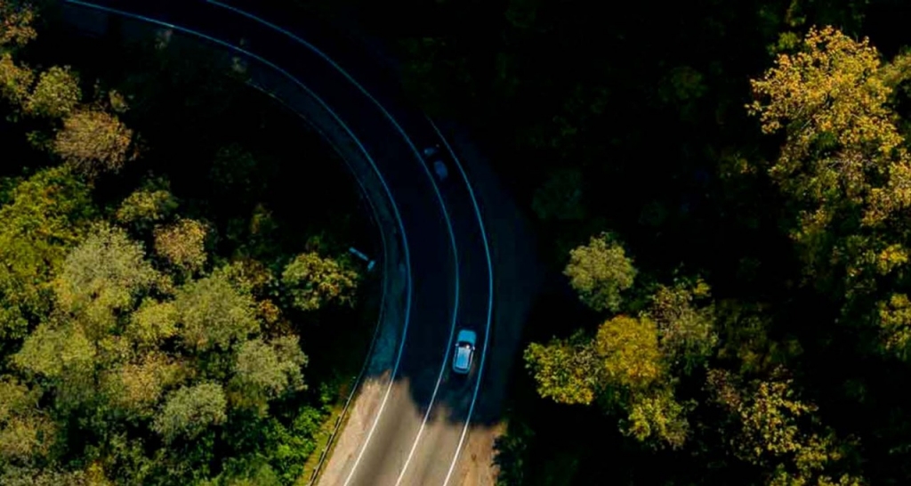 A car driving on a road crossing a forest