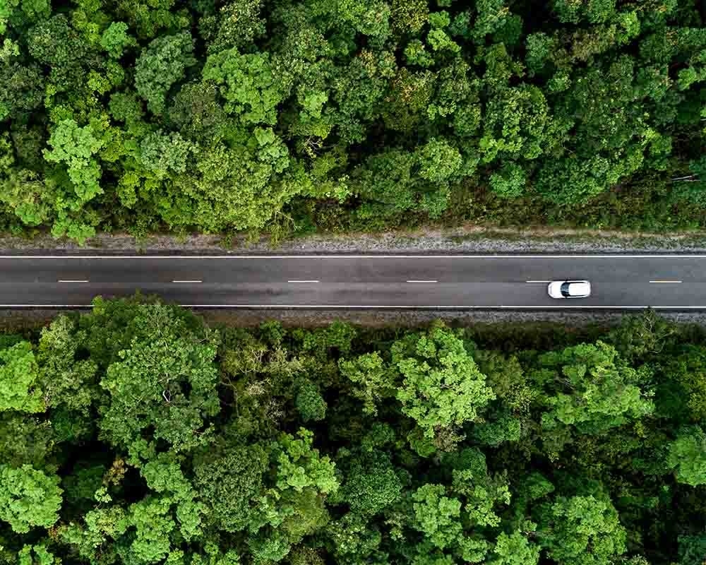 Un coche blanco circula por una carretera entre árboles