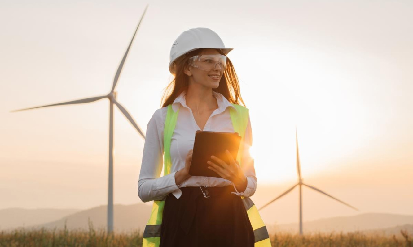Engineer at wind facility
