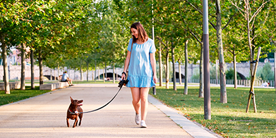 Una chica paseando a su perro por el parque