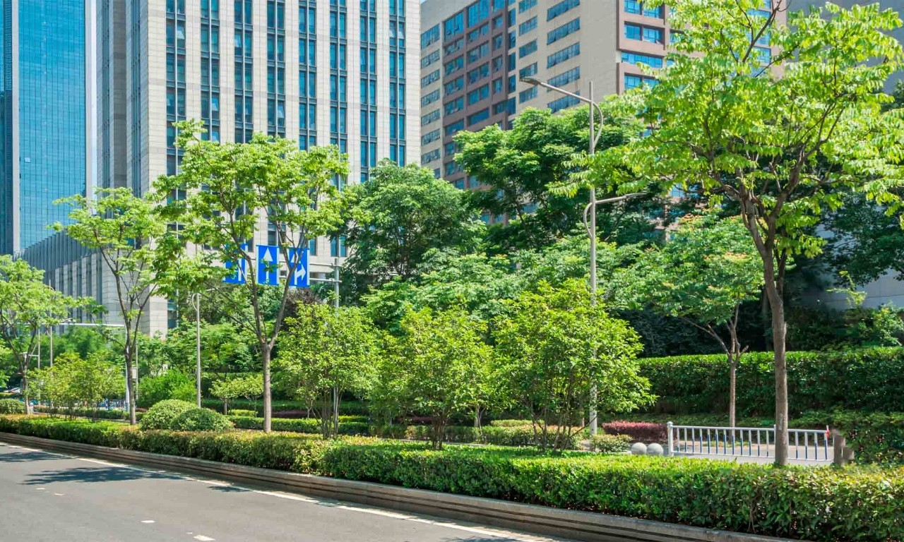 A strip of vegetation and trees next to a road within a city