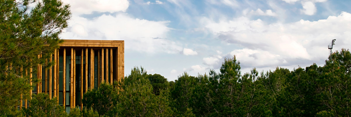 Bioclimatic building behind some trees