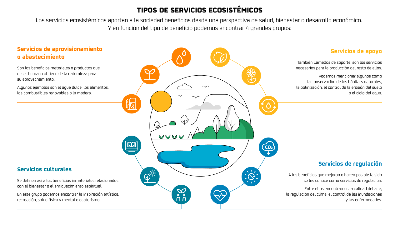 Infografía sobre los tipos servicios ecosistémicos