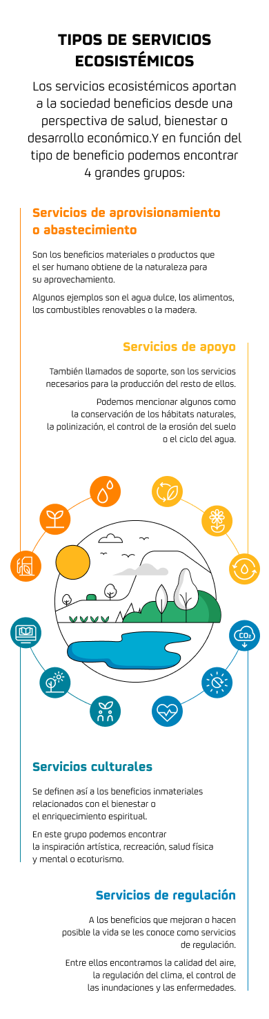 Infografía sobre los tipos servicios ecosistémicos