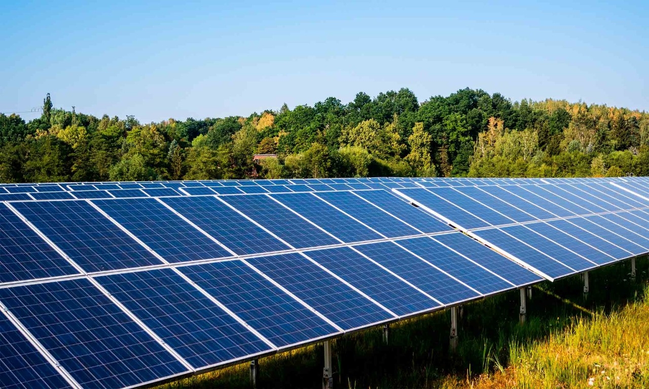 Placas solares en un terreno verde