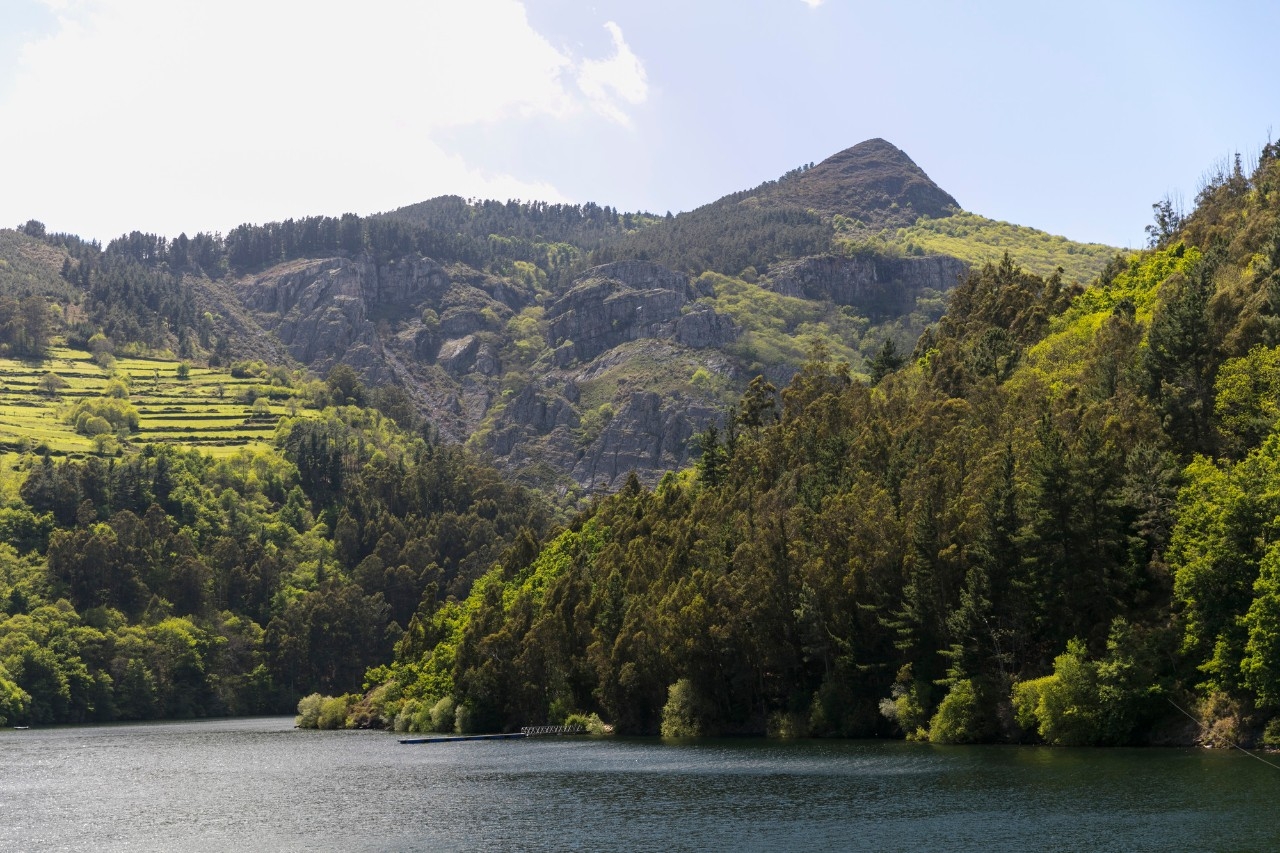 View of mountain formations in a wooded area