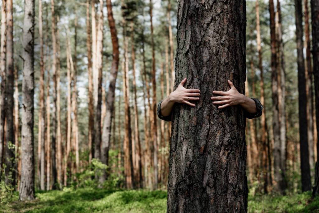 Una persona abrazando a un árbol