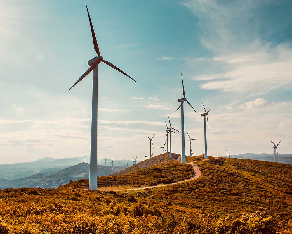 View of several wind turbines