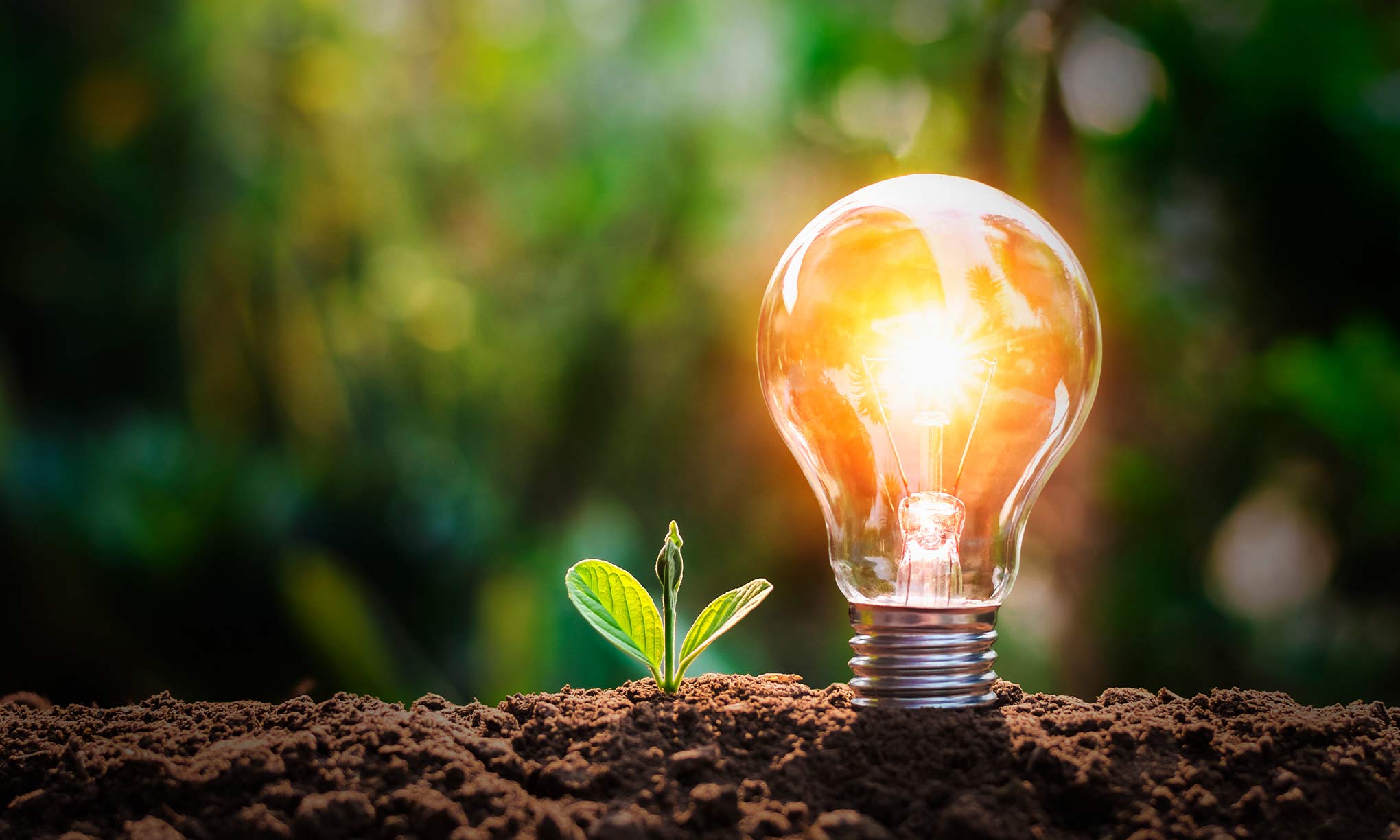 Todo sobre el ahorro energético | Repsol