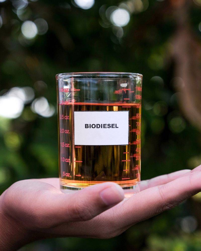 Biodiesel in a beaker on a hand