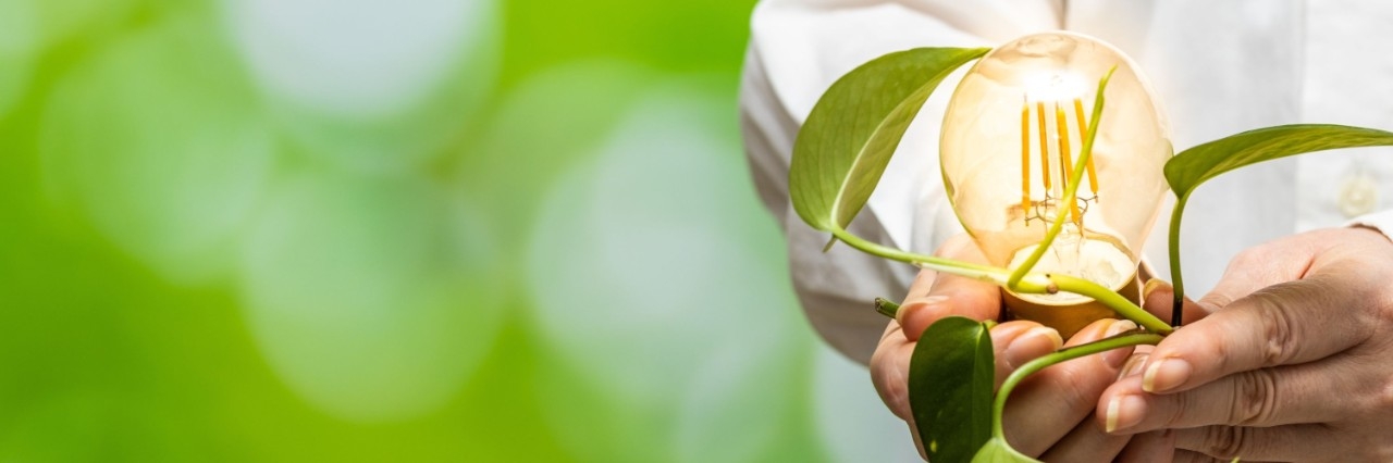 una planta y una bombilla simbolizan la bioenergía