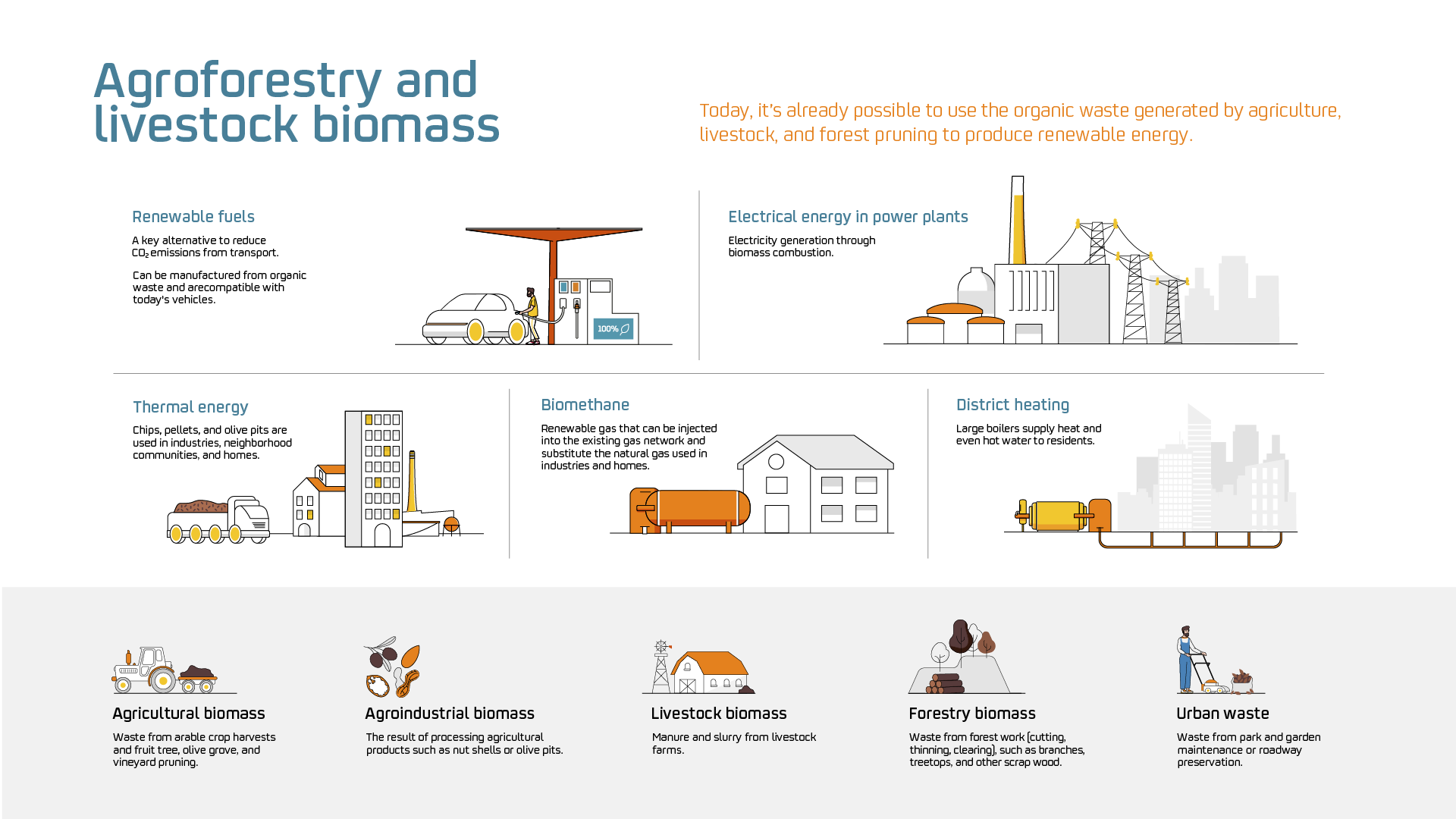 Agroforestry and livestock biomass
