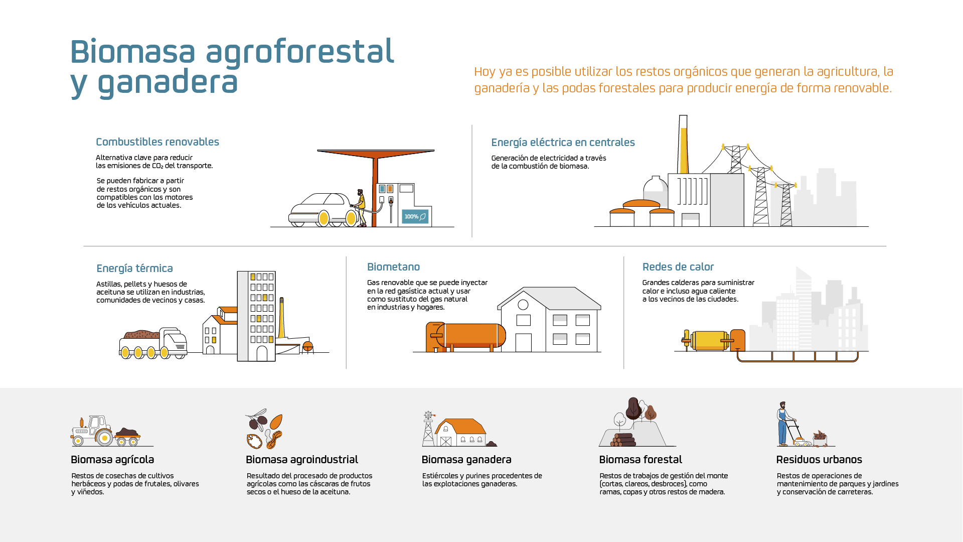 Infografía biomasa agroforestal y ganadera