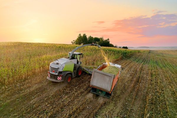 máquina agrícola produciendo biomasa