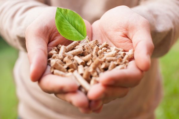 pellets, uno de los tipos de biomasa para producir bioenergía