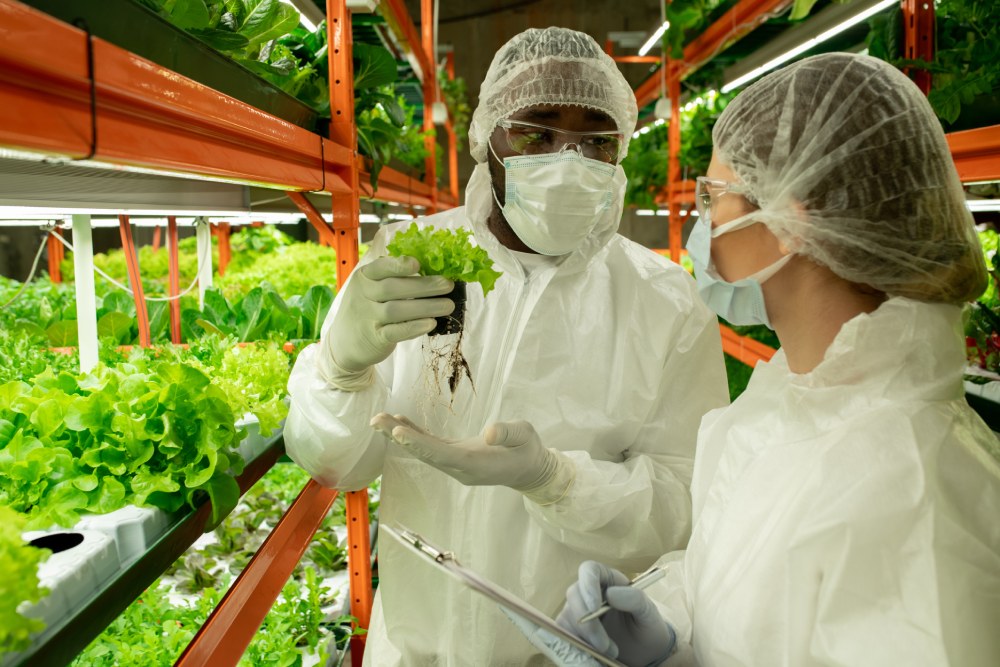 two scientists inspecting a plant in a lab