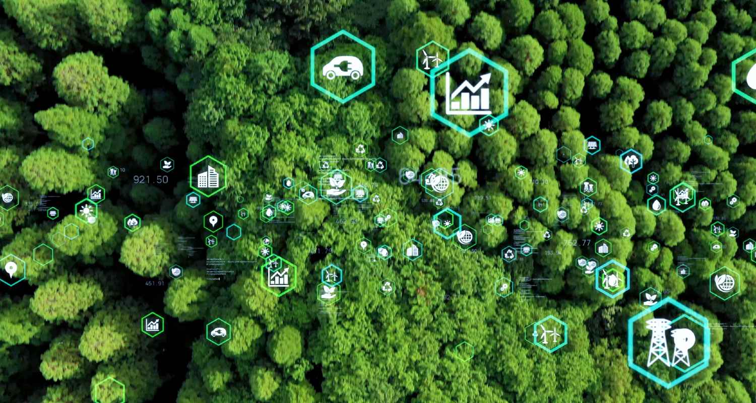 Bird's eye view of a forest with icons representing various industries