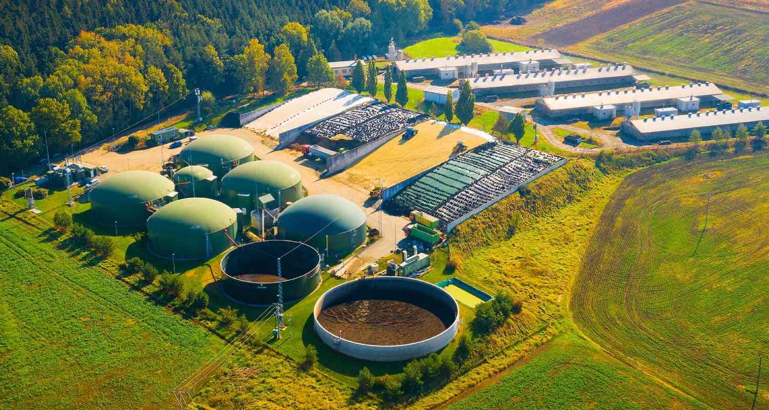 central de energía de biomasa