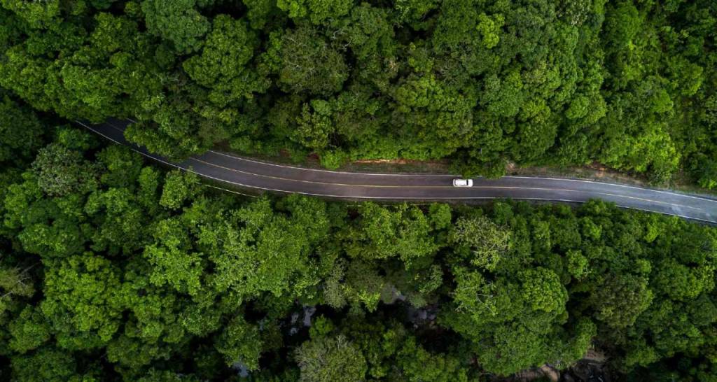 A car driving down a road through a forest