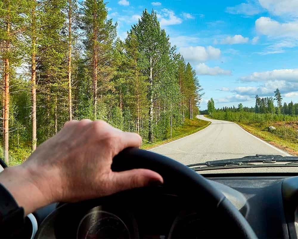 A car driving on a road that goes through a forest